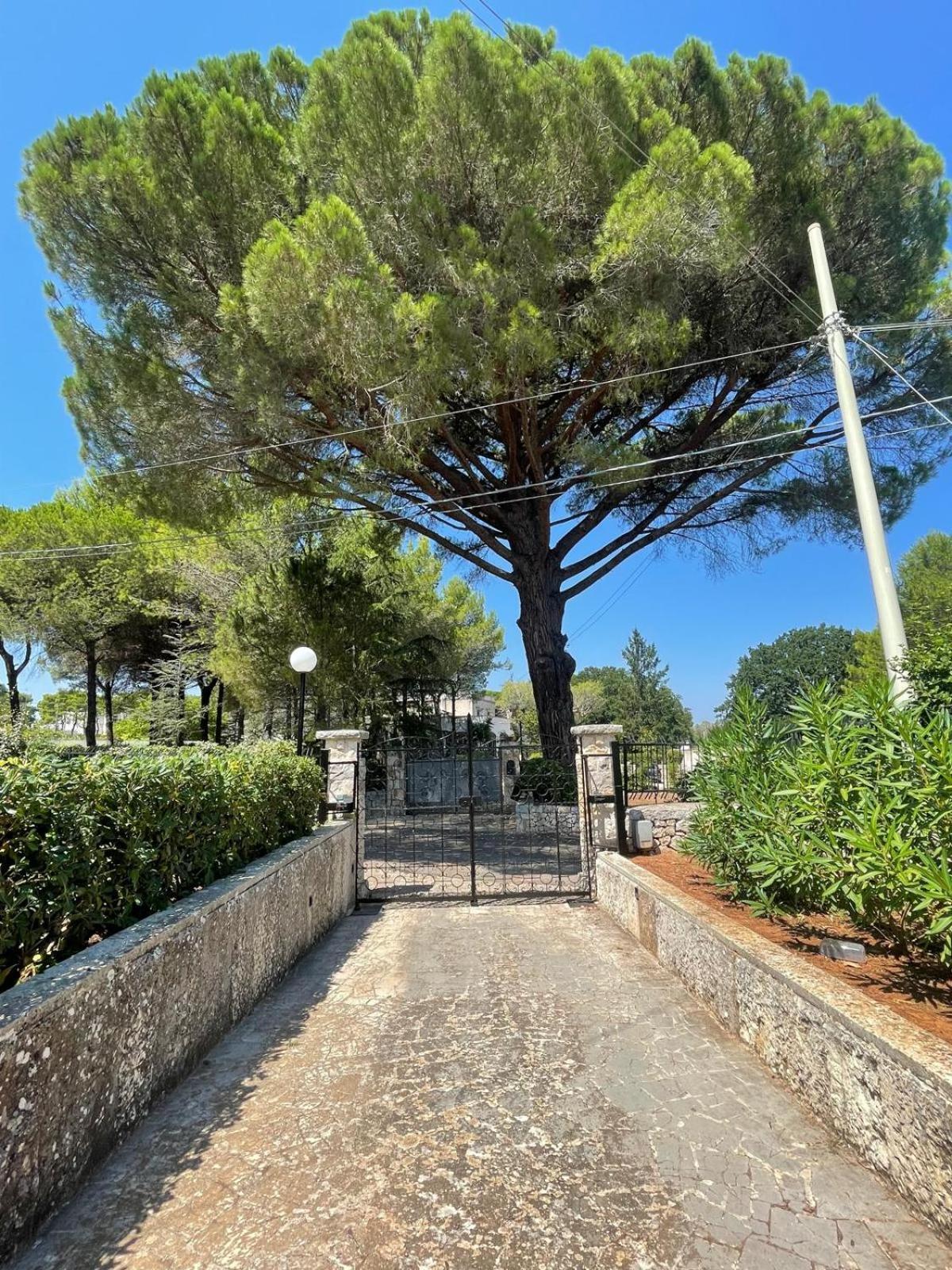 Villa Trimigliozzi Selva Di Fasano Esterno foto